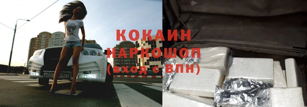 СК Новозыбков