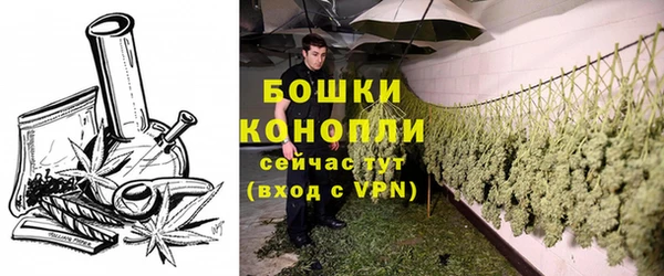 экстази Новодвинск