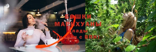 СК Новозыбков