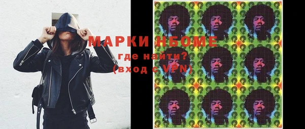 СК Новозыбков