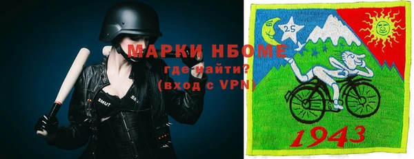 СК Новозыбков