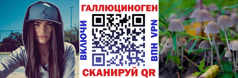Псилоцибиновые грибы мицелий  Мегион 