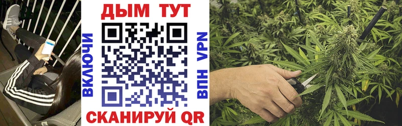 Шишки марихуана SATIVA & INDICA  Мегион 